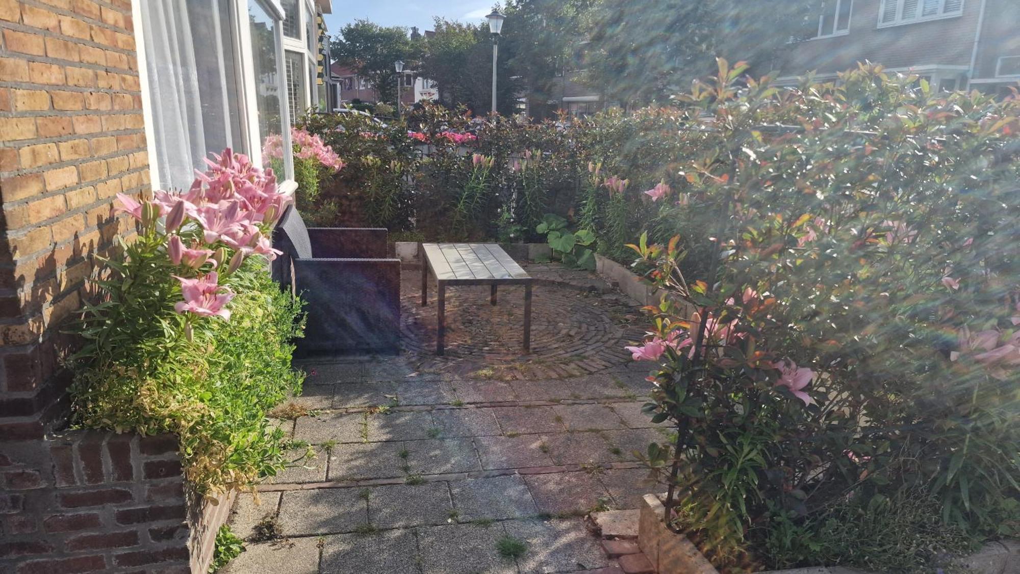 Guesthouse Zandvoort Luaran gambar