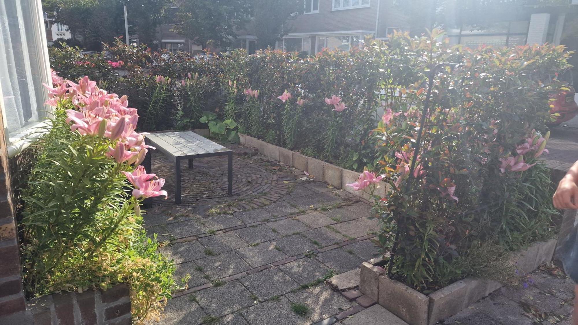 Guesthouse Zandvoort Luaran gambar