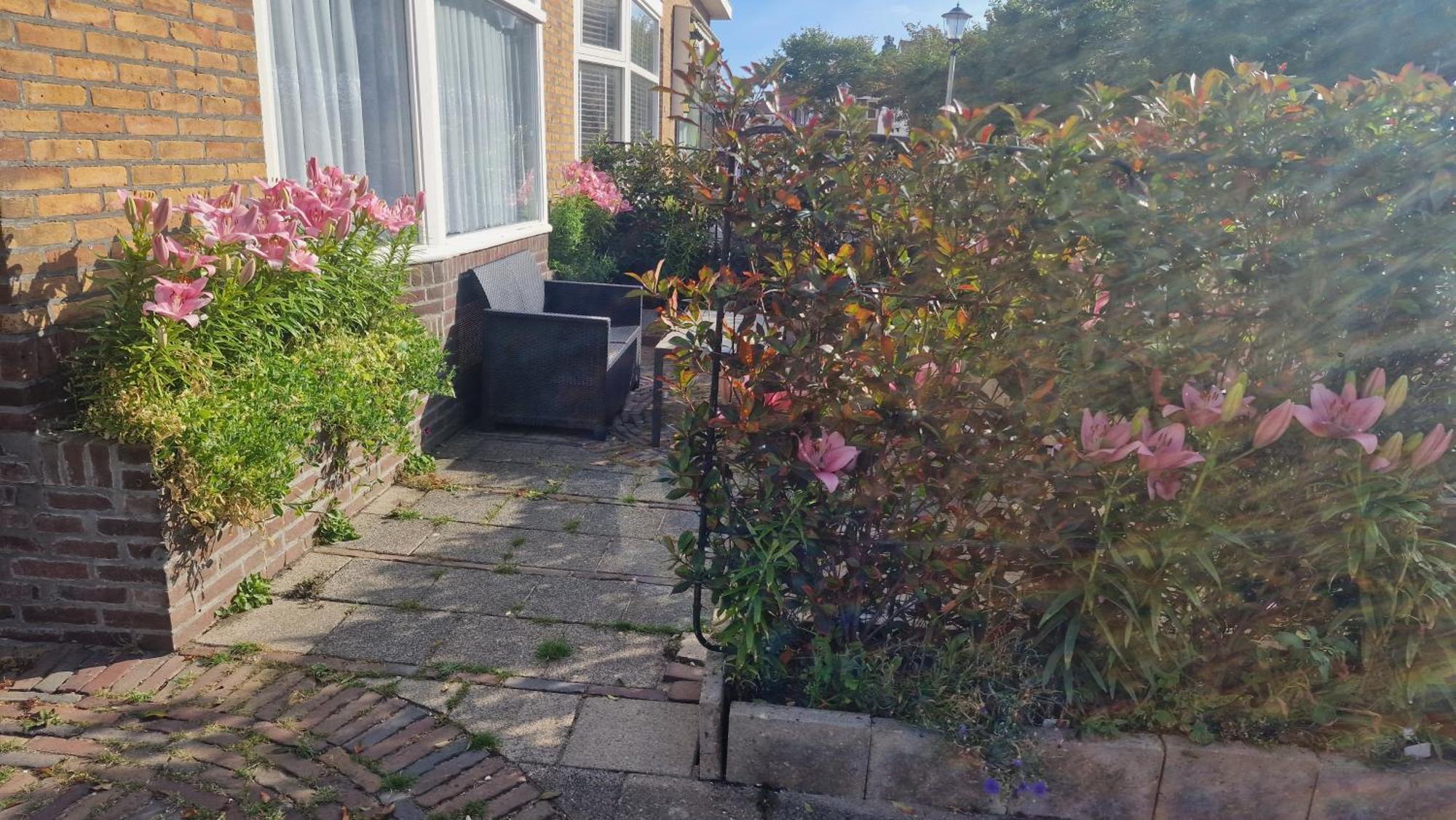 Guesthouse Zandvoort Luaran gambar